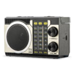 Radio portabil cu difuzor Bluetooth Electromures EM 1043