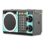Radio portabil cu difuzor Bluetooth Electromures EM 1043